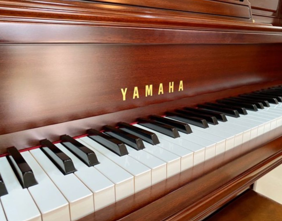 Best Places to Buy Acoustic Digital Pianos in NYC 9 Đàn Piano Cơ Yamaha M2(Chính hãng Full Box 100%) Chất lượng, giá thành tốt nhất Việt Nam