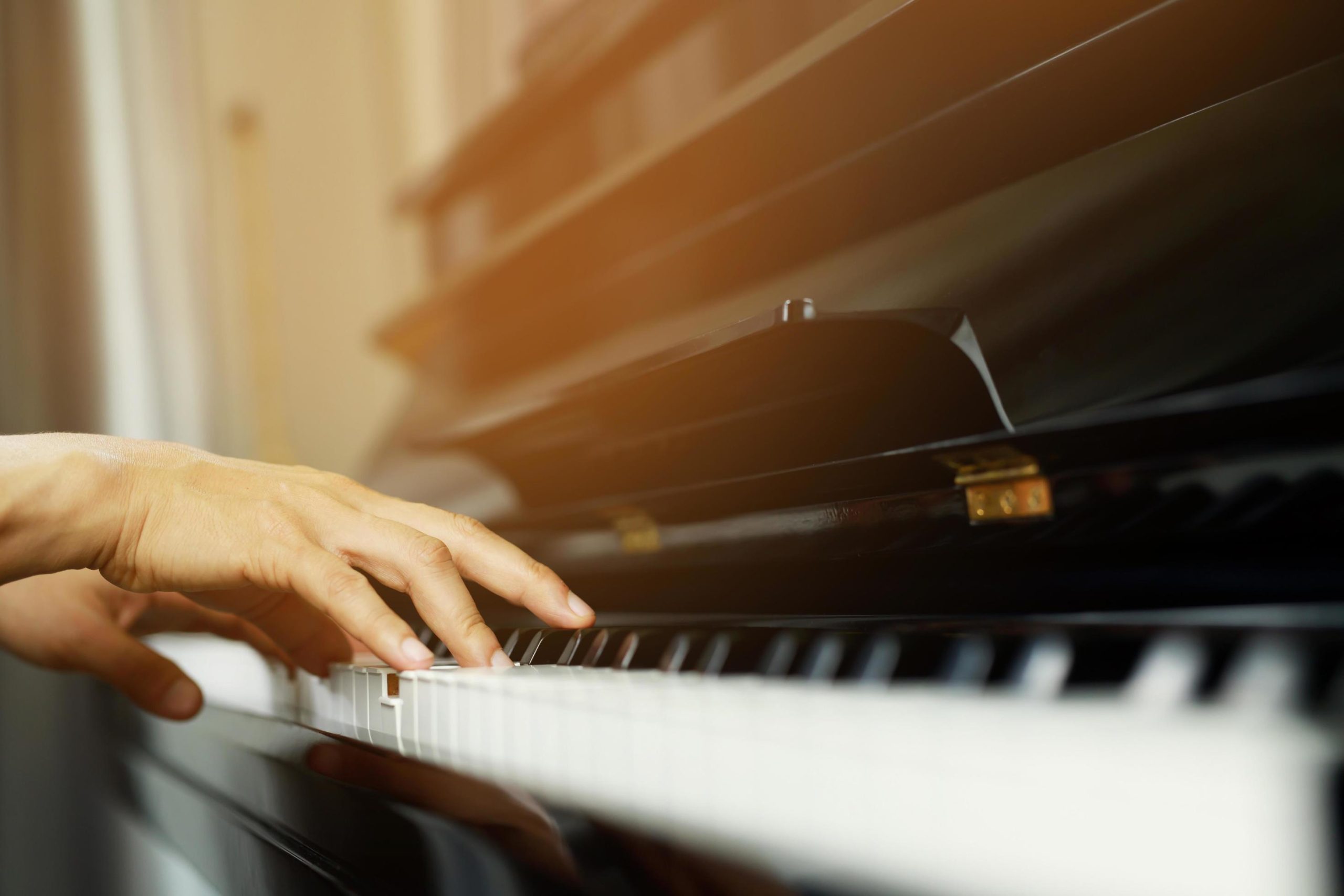 Top Classical Piano Pieces for Beginners to Learn 8 close up of hand people man musician playing piano keyboard with selective focus keys. can be used as a background. 11345583 Stock Photo at Vecteezy