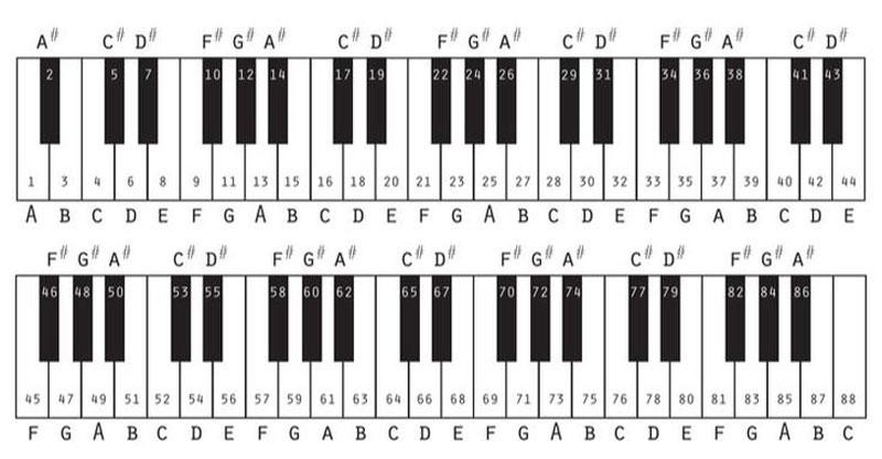 Mastering Jazz Piano Beginners 7th Chords Complete 7 Các hợp âm piano cơ bản dành cho người mới học