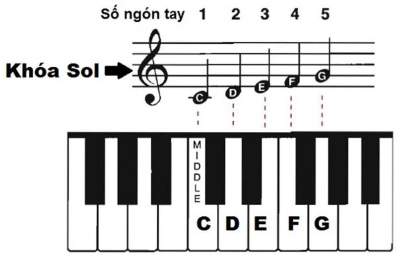 Effective Memorizing Piano Music Techniques Guide 10 Ký hiệu các nốt nhạc Piano cơ bản và cách đọc, cách ghi nhớ