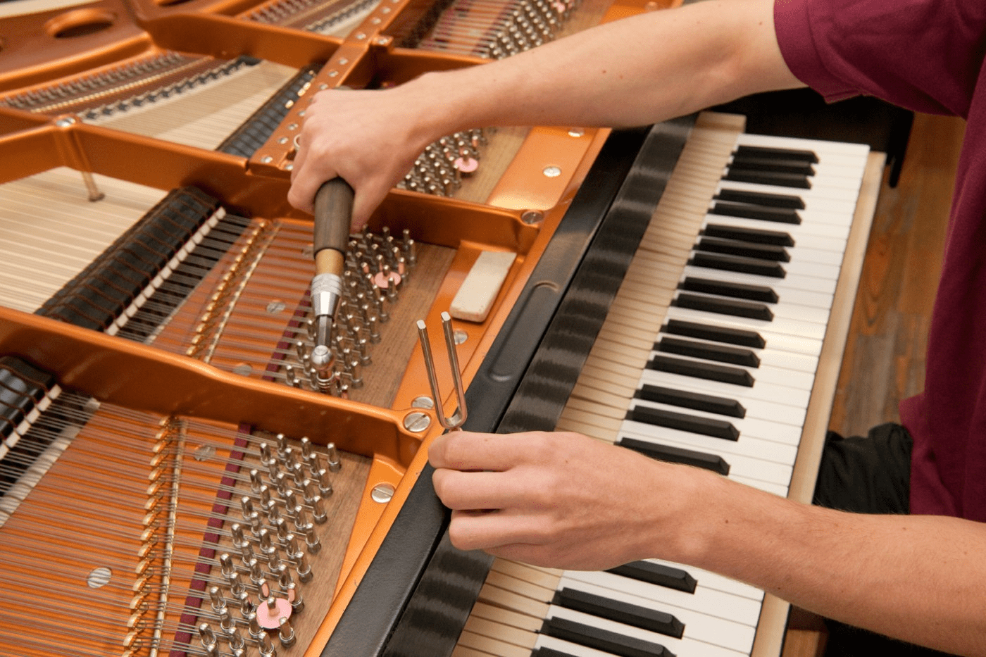 NYC Humidity Acoustic Piano Tuning and Maintenance 8 Bảo Dưỡng Đàn Piano Upright Và Grand Tại Nhà Giá Từ 500.000đ, Lên Dây Đàn Tinh Chỉnh Máy Đàn Chuyên Nghiệp - Anton Music
