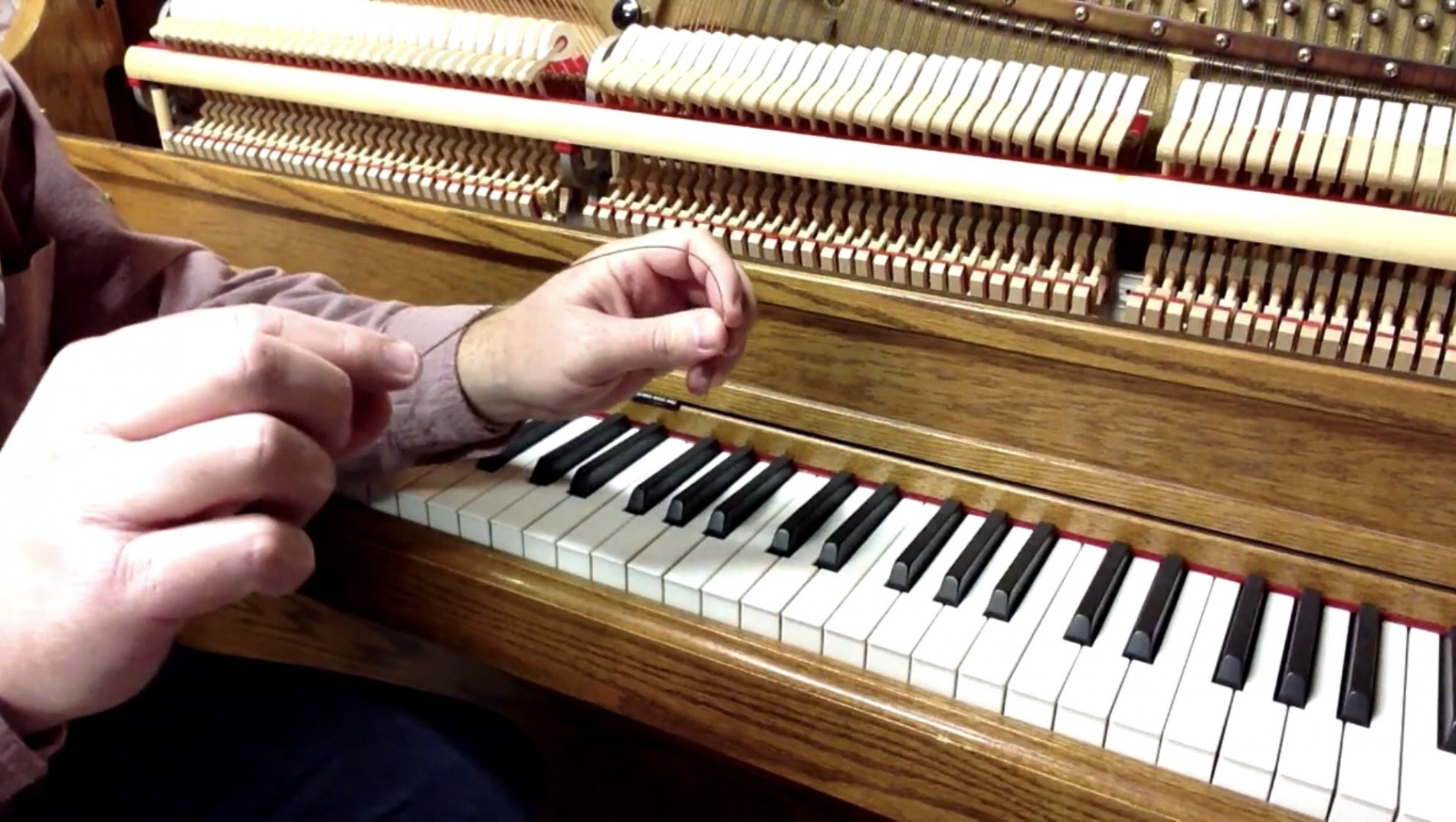 NYC Humidity Acoustic Piano Tuning and Maintenance 9 Dịch Vụ Bảo Dưỡng Đàn Piano Cơ và Piano Điện Tại Nhà – Tiện Lợi, Chất Lượng Cao